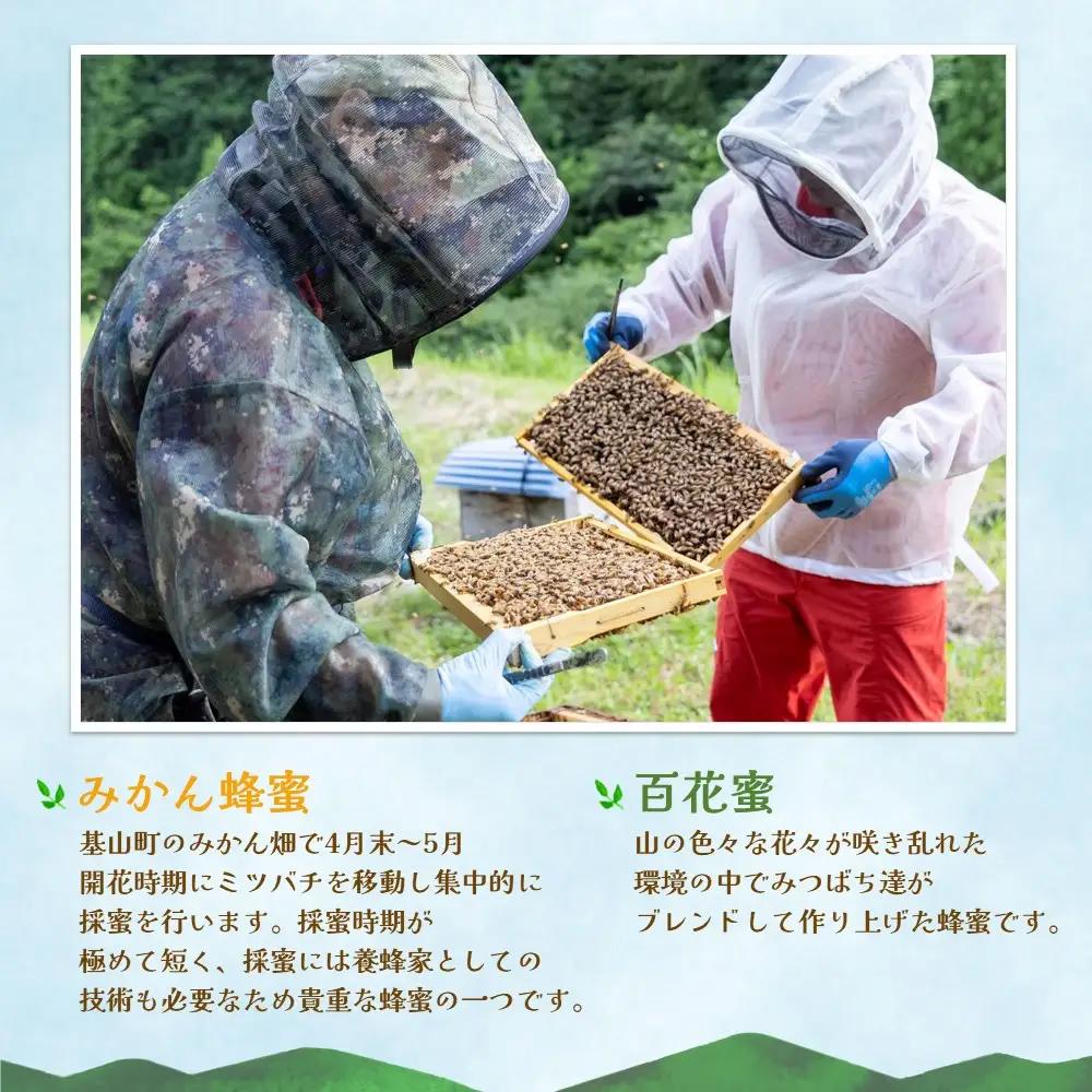 【2か月定期便】みよしのハチミツ2本セット(百花蜜・みかん) 220g×2本(計220g×4本) K063422