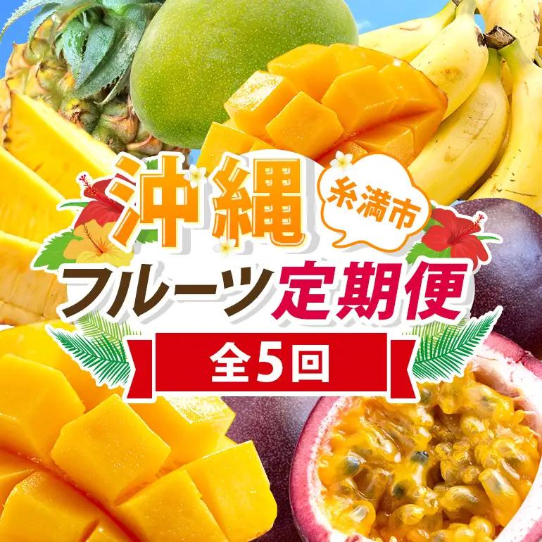 フルーツ 定期便 全 5回 名護パイン園 マンゴー バナナ パッション ドラゴンフルーツ パイナップル 178-13