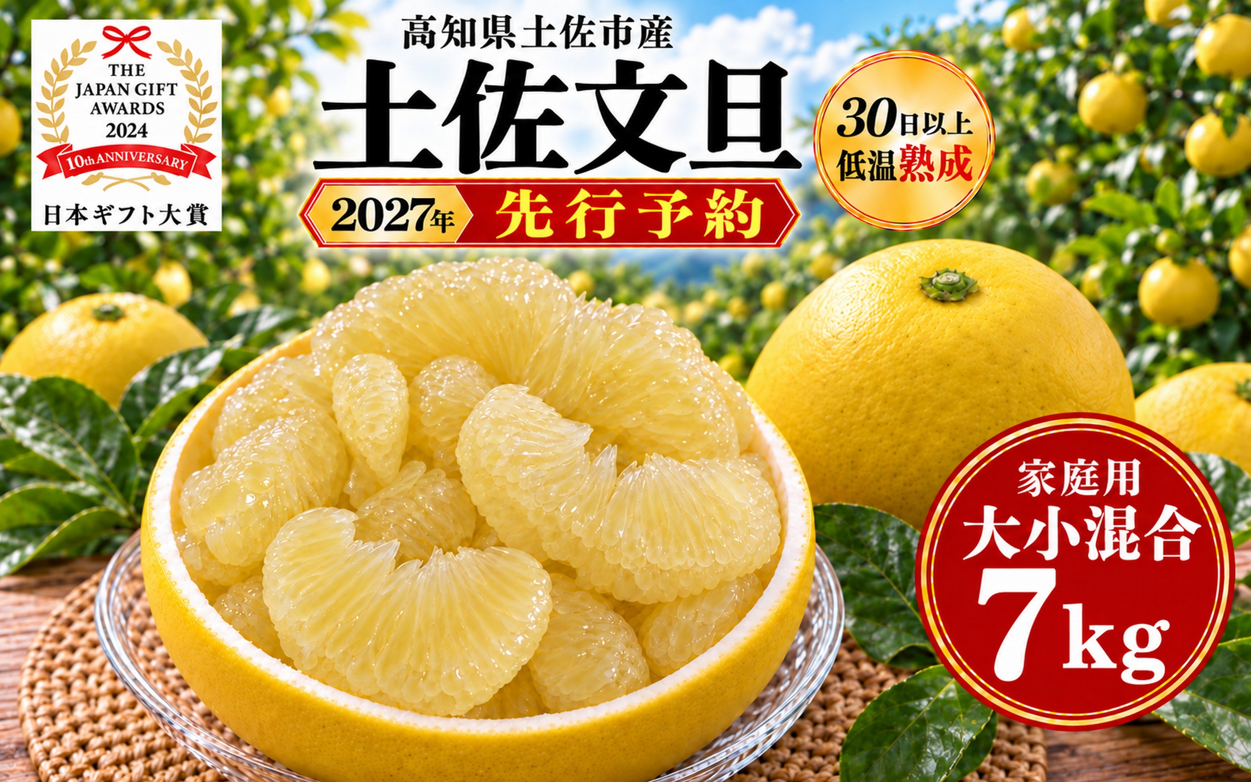 
                  土佐文旦 大小混合 7kg 家庭用 大玉と小玉の詰め合わせ 日本ギフト大賞受賞 文旦発祥の地 園主こだわり 食べ比べ 高知県土佐市産 高知県産 国産 7キロ ぶんたん ブンタン みかん 柑橘類 高級フルーツ 果物 産地直送 お取り寄せ ギフト 季節限定 先行予約 やの一果彩[BQAC014]
                