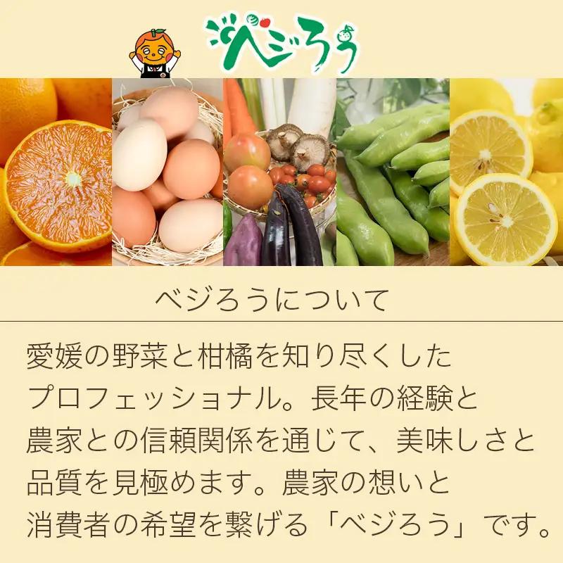 訳あり ブルーベリー 500g 【2026年8月下旬頃から順次発送】 | ブルーベリー ベリー フルーツ 果物 くだもの 冷蔵 期間限定 愛媛県 松山市 ベジろう 送料無料 【VEG115】