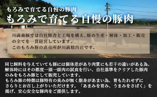 【定期便 5回配送】【石垣島ブランド豚】もろみ豚 豚こま切れ 250g×25袋【合計5kg】【もろみで育てる自慢の豚肉】簡単 便利 小分け 小間切れ 細切れ 5ヶ月 5か月 5ヵ月 AH-15