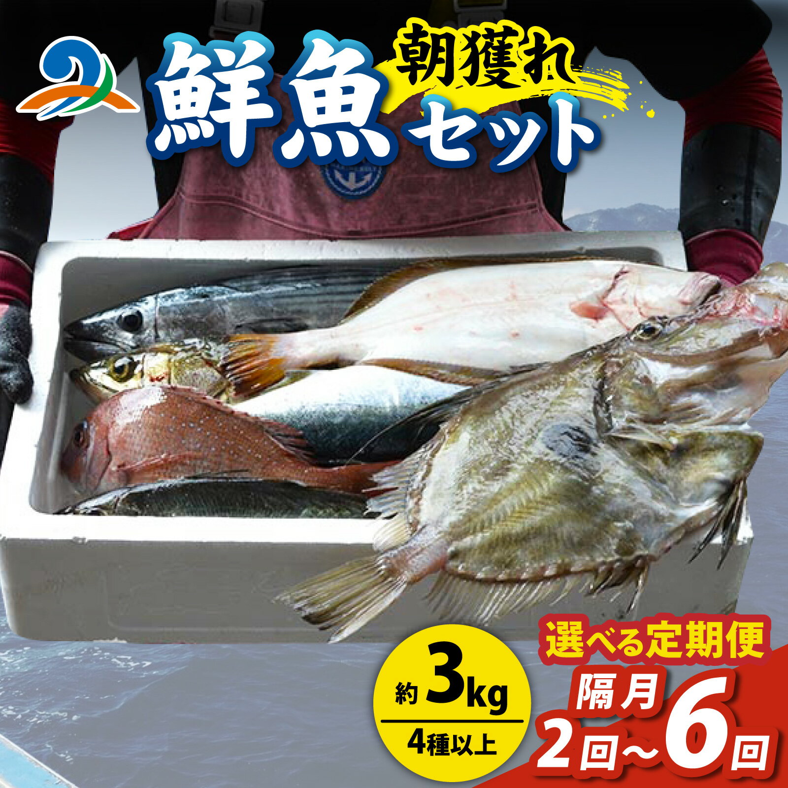 【ふるさと納税】【定期便】【選べる定期便 隔月2回～6回】【朝獲り】漁師厳選 鮮魚セット (中) 4種類以上 約3kg／ 魚 詰め合わせ 新鮮 煮物 焼き物 お造り 刺身 晩酌 食卓 漁師BBQ 冷蔵 隔月 送料無料