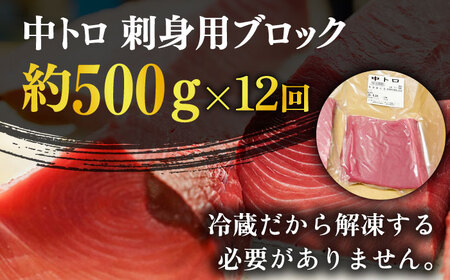 【全12回定期便】五島列島産養殖生本かみまぐろ 中トロ 500g[RBP066] 本マグロ 本まぐろ 定期便 本マグロ 本まぐろ 定期便 本マグロ 本まぐろ 定期便九州 長崎