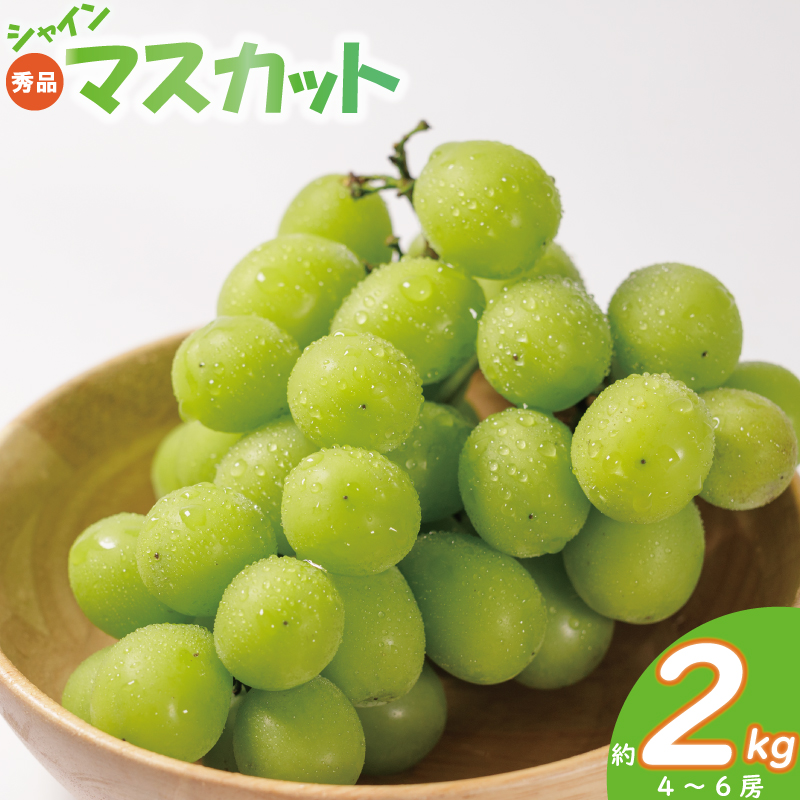 【2026年発送分先行予約】 秀品 シャインマスカット 約2kg (4~6房) | ぶどう 葡萄 マスカット フルーツ 果物 冷蔵 数量限定 おすすめ 愛媛県産 松山市 ブドウ マスカット フルーツ 