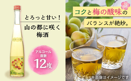 純米吟醸 蛍丸・梅酒 飲み比べ セット 化粧箱入り 日本酒 梅酒 熊本 山都 清酒 地酒 ギフト お歳暮 日本酒 地酒 日本酒 清酒 日本酒 ギフト 日本酒 お歳暮 日本酒 プレゼント 日本酒 通潤酒