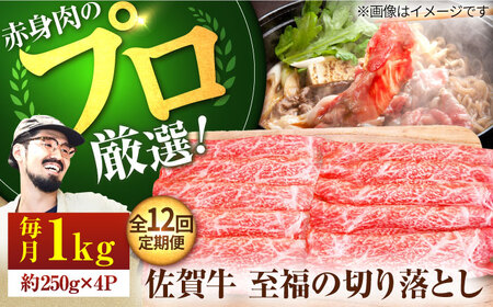 【12回定期便】佐賀牛 至福の切り落とし 1kg（250g×4パック） /牛肉 お肉 肉 しゃぶしゃぶ 鍋 切り落とし 九州 [IAH096]
