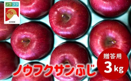 
                  WF07　ノウフクサンふじ 贈答 約3kg / 2026年11月下旬～12月下旬ごろ配送予定 // 長野県 南信州 松川町産 JAS認証 りんご リンゴ 林檎 ノウフク 農福連携 サンふじ ふじ 贈答
                