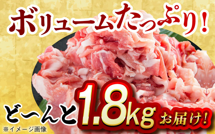 肉 豚 ぶた ブタ 豚肉 小分け 西海市 長崎 九州