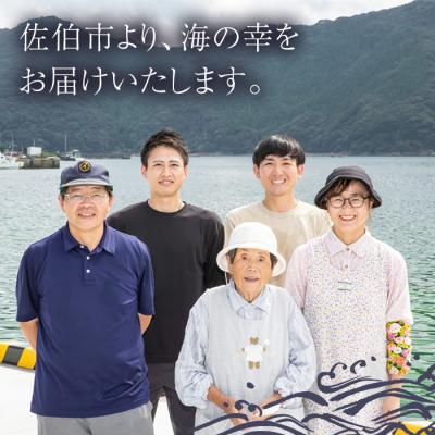 ふるさと納税 佐伯市 ＜訳あり・業務用＞きびなごの丸干し (計約1kg) |  | 03
