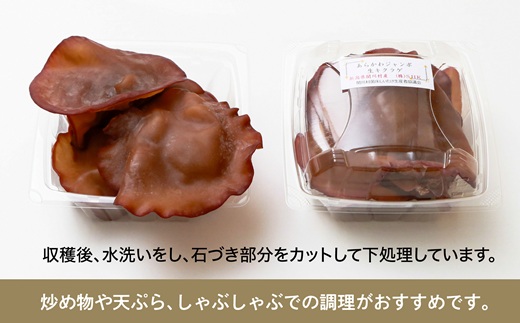 あらかわプレミアムジャンボ生キクラゲ220g×2パック【配送不可地域：離島】【1442523】
