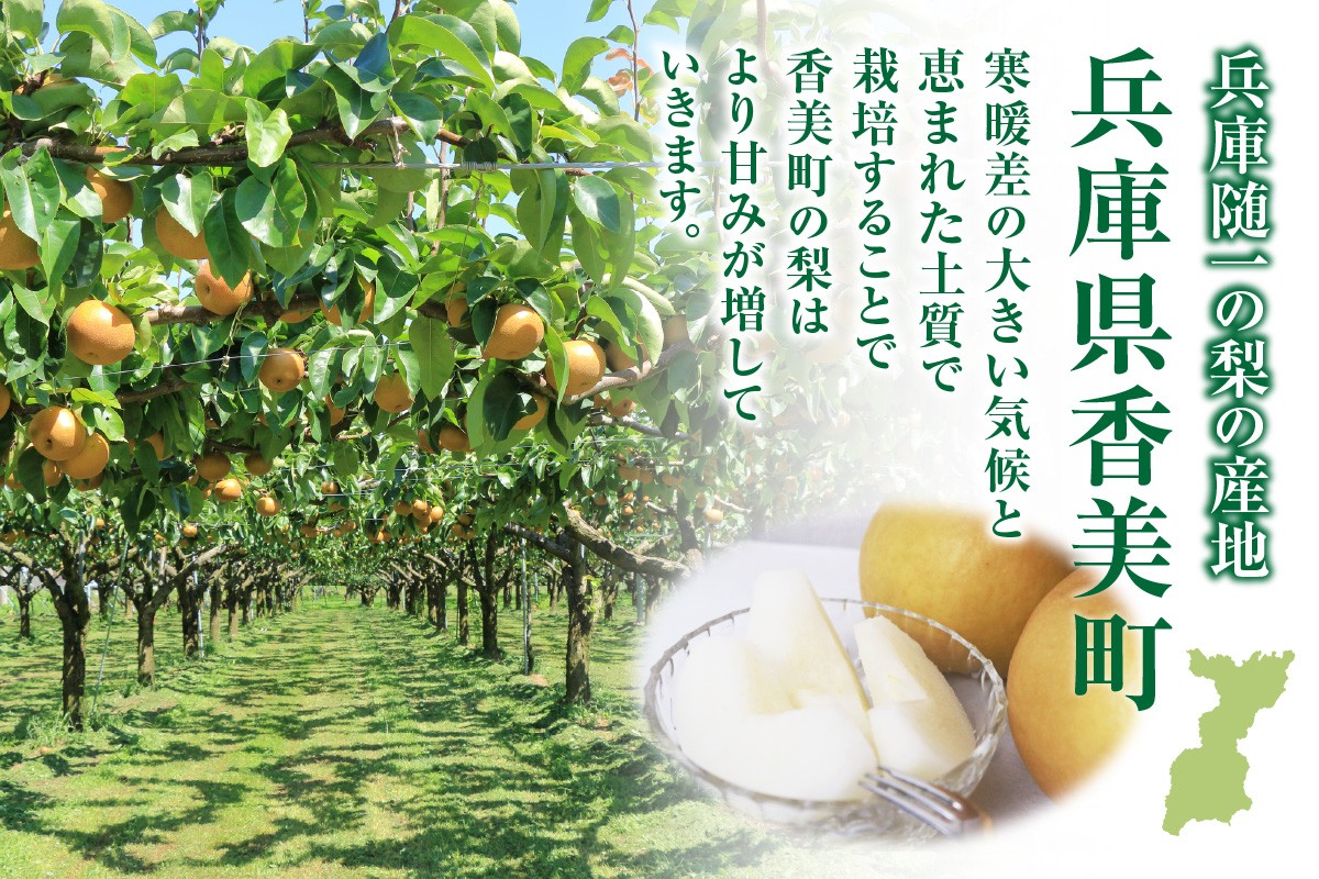 意外に知られていない冬に食べられる甘い梨。
甘味の中に適度に酸味があり、絶妙な美味しさです。