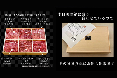 「父の日」佐賀牛希少部位100g×6種類(合計600g) にくのともる厳選 焼肉用 A5～A4等級 食べ比べ ギフト キャンプ