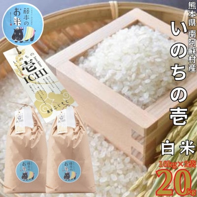 熊本県南阿蘇村産 令和7年産 特別栽培米 いのちの壱(白米) 10kg×2袋【虹色のかば】【1577914】