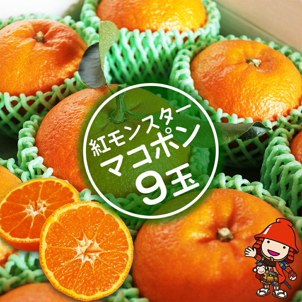 【ふるさと納税】【数量限定】 紅モンスター マコポン9玉 | フルーツ 果物 くだもの 果実 柑橘 柑橘類 まこぽん マコポン オレンジ ゼリーオレンジ 不知火 国産 中津市産 産地直送 大分県 中津市 送料無料【発送は2025年12月10日～2026年1月31日頃までの予定】