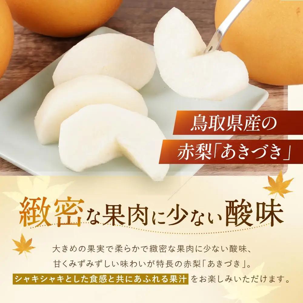 あきづき 5kg 10～12玉 数量限定 鳥取県産 梨 梨