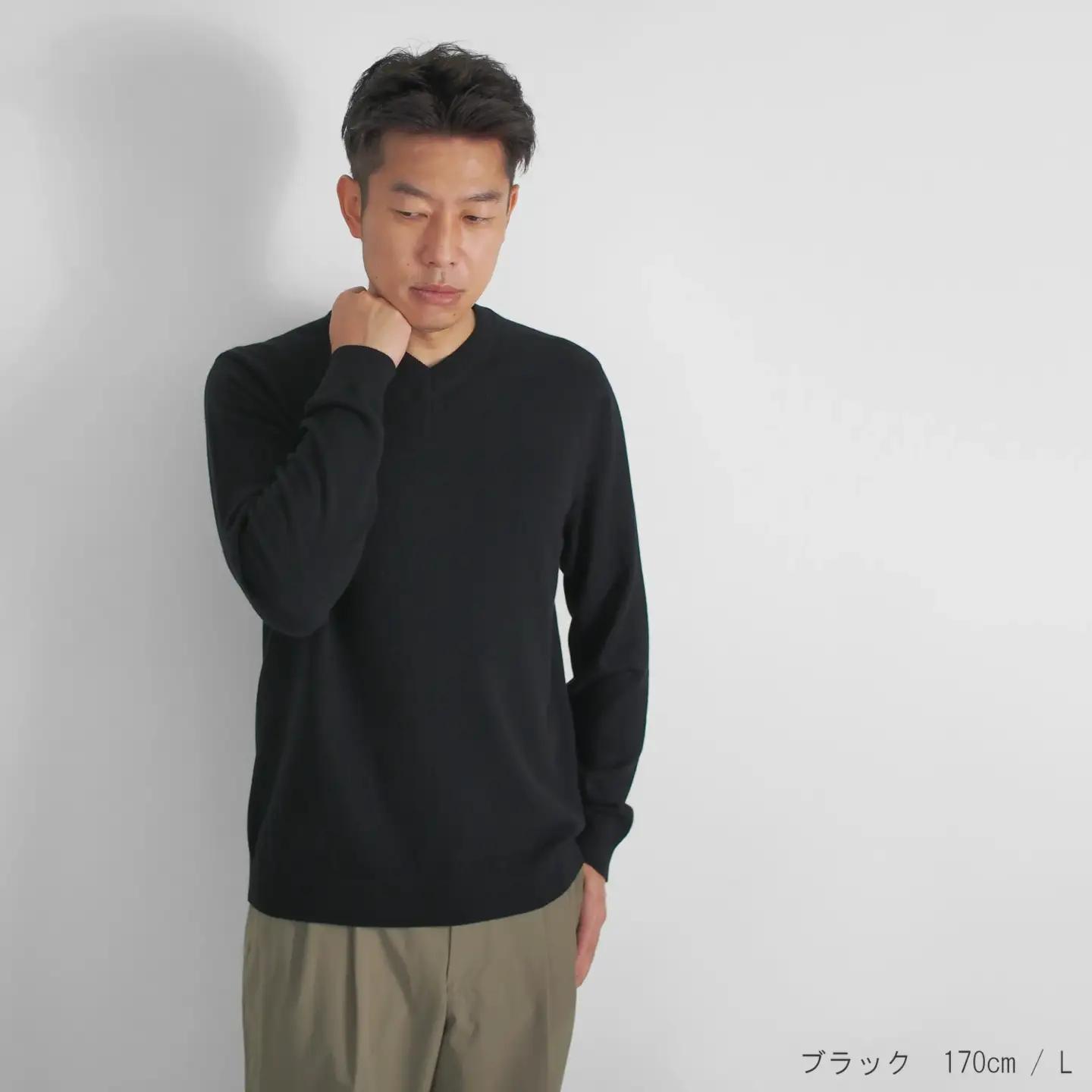 【先行予約】カシミヤVネックセーター ( ブラック・M ) | メンズ ニット