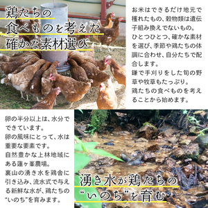 【蓮ヶ峯農場】京都奥丹波 純国産鶏もみじの 平飼いたまご 24個 【 国産 平飼い卵 非遺伝子組み換え 自家配合 たまご タマゴ 卵 平飼い 卵 純国産鶏 もみじの平飼い卵 京都奥丹波 綾部 京都 】