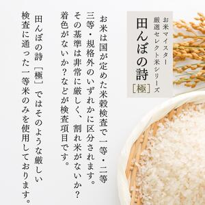 【定期便】お米マイスター厳選米 2kg【3ヶ月連続お届け】 計6kg 広島県産 【出荷直前精米】