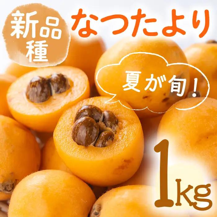 ＜先行予約！2027年5月下旬以降順次発送予定＞なつたより びわ(約1kg) 果物 フルーツ 産地直送 【man066】【Aglio nero】