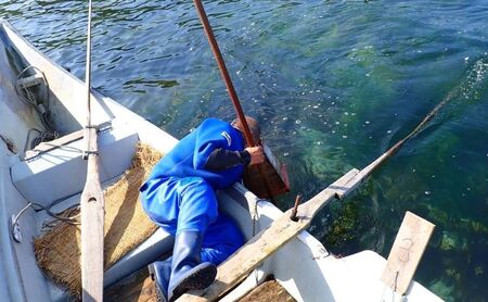 北海道 礼文島産 熟成ねかせ昆布粉 10g×3袋［れぶんちゅら工房］【 天然だし 出汁 万能調味料 調理 昆布 昆布粉 粉 粉末 海鮮 減塩 】