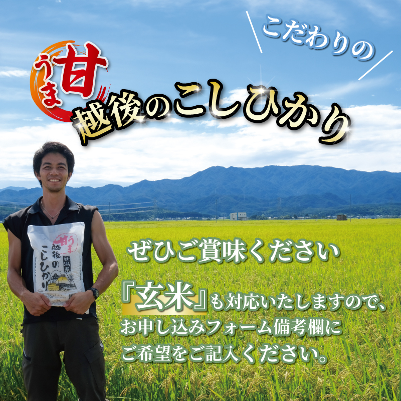 【令和6年産】 新米 コシヒカリ 定期便 7kg 6ヵ月 42kg 甘うま越後のこしひかり 越後 えちご 玄米 特別栽培米 新潟 コメ こめ お米 米 しんまい 新潟県 新潟米 新発田市 新発田産 斗