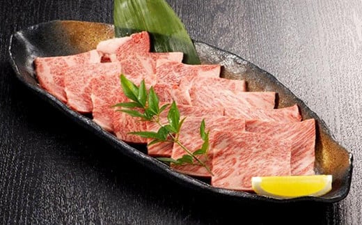 福岡県産 A5 博多 和牛 肩ロース 焼肉用 600g(300g×2パック) 