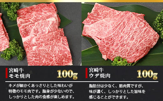 宮崎牛 6部位 食べ比べ 焼肉セット【最新の3D冷凍技術】【急速冷凍】送料無料 宮崎県 椎葉村 椎葉 日本三大秘境 秘境 国産 宮崎県産 ブランド牛 牛肉 牛 和牛 肉 うし お肉 焼肉 焼き肉 BB