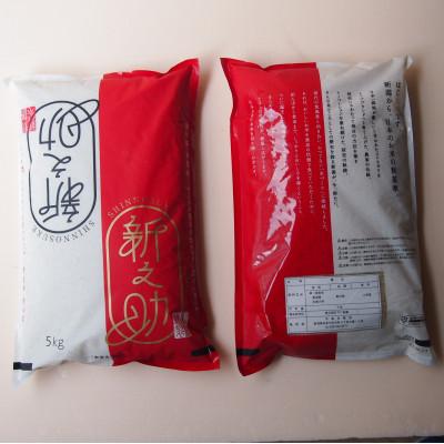 ふるさと納税 糸魚川市 令和7年産 新之助5kg×2袋　精米 |  | 01