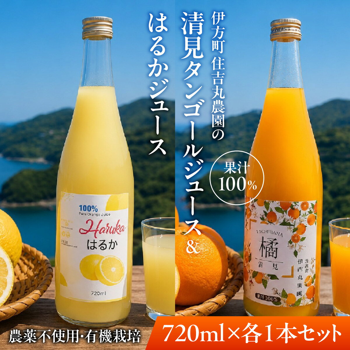 【ふるさと納税】清見タンゴールジュース はるかジュース 720ml×各1本（計2本）【ふるさと納税 人気 おすすめ ランキング 清見タンゴール はるか ジュース みかん ミカン オレンジ 無農薬 有機栽培 佐田岬半島 農家直送 住吉丸農園 愛媛県 伊方町 送料無料】 IKTBN022