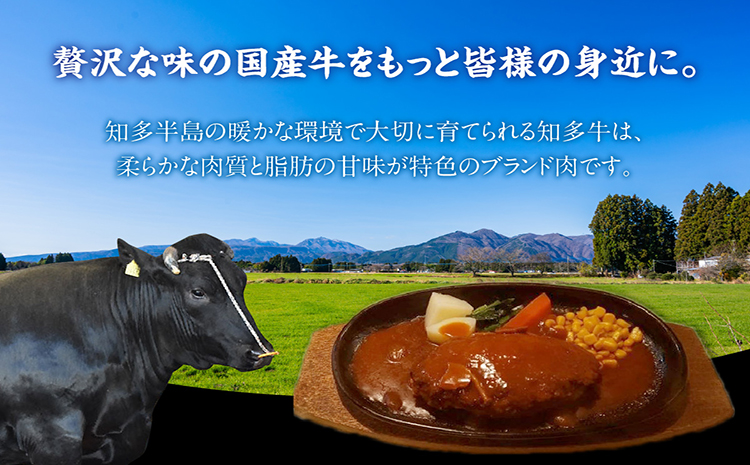 知多牛100％手作りハンバーグ　120g×6個入り