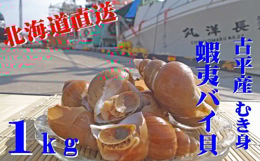 【210002】北海道古平産 漁師直送！蝦夷バイ貝(むき身)１kg