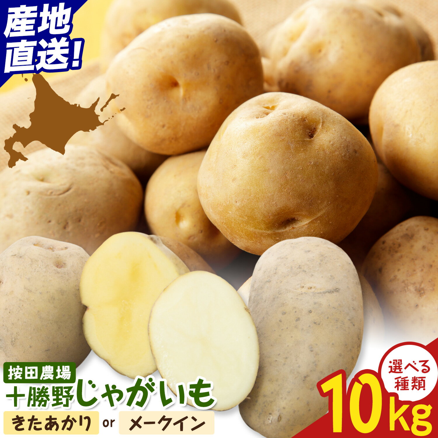 【ふるさと納税】【2026年秋出荷】先行予約 十勝野じゃがいも 10kg 選べる きたあかり メークイン 詰め合わせセット 按田農場《2026年10月中旬-11月上旬頃出荷》北海道 豊頃町 十勝野 じゃがいも セット 農家直送 数量限定