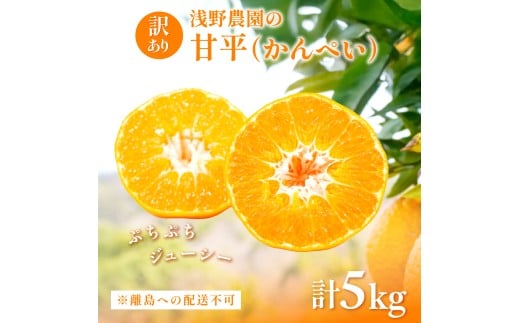 【先行予約】【数量限定】【訳あり】浅野農園の甘平（かんぺい）5kg ※離島への配送不可（2026年2月中旬頃より順次発送予定） 【 ふるさと納税 人気 おすすめ ランキング 柑橘 みかん ミカン フルーツ 果物 愛媛 有名 代表 高級 愛媛県産 愛媛みかん 浅野農園 愛媛県 伊方町 送料無料 】IKTAC028