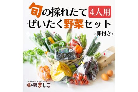 野菜 卵付き 旬の野菜セット 4人用  益子町 AA005