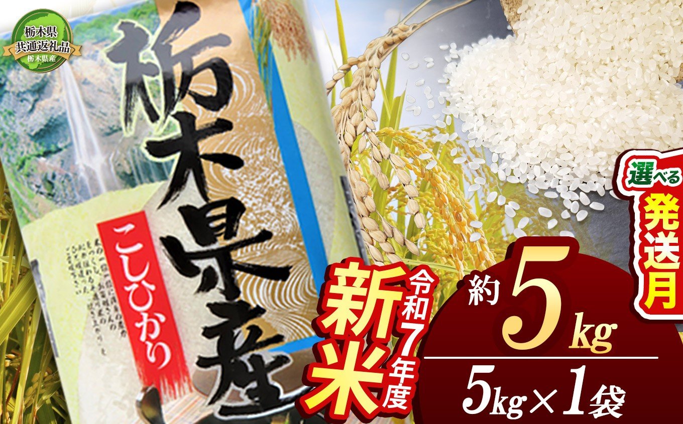 
            新米 コシヒカリ5kg | 定期便あり 米 こめ コメ kome 白米 精米 お米 こしひかり ｺｼﾋｶﾘ 新米 栃木米 令和7年度米 令和7年度 2025年度米 2025年度 ブランド米 栃木県 特産品 栃木県共通返礼品 送料無料 栃木県 下野市 しもつけ市
          