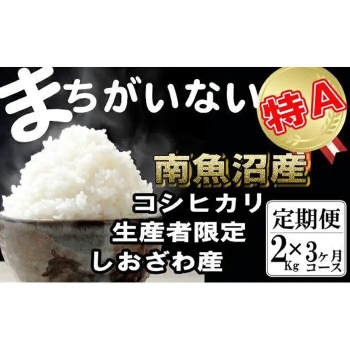 【令和7年産】【定期便】生産者限定 契約栽培　南魚沼しおざわ産コシヒカリ（2Kg×3ヶ月）【定期便 銘柄米 ブランド米 精米 こしひかり コシヒカリ 魚沼産 新潟米 産地直送 お米 米 こめ コメ ご飯 御飯 ごはん】