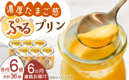 【全6回定期便】【卵が濃い！】たまごやさんのぷるプリン （濃厚仕立て） 6個入/回【ぷるたま工房】 [QBB003] [QBB003]