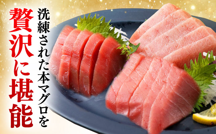 【全6回定期便】対馬産 本マグロ 500g（赤身300g、中トロ200g） ≪対馬市≫【桐谷商店】 トロの華 対馬 新鮮 マグロ トロ 鮪 刺身 鮮度抜群 [WAQ045]