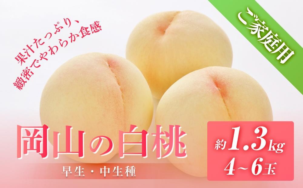 
            桃 2026年6月下旬から発送 ご家庭用 岡山の 白桃（早生、中生種）約1.3kg 4～6玉 もも モモ フルーツ 果物 岡山市 一宮地区産 国産 赤木農園
          