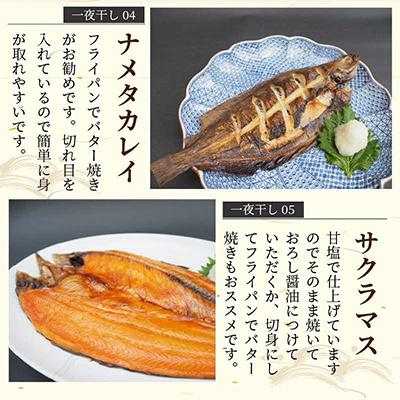 ふるさと納税 北見市 一夜干し5種(各1枚)セット(キンキ入り) |  | 03