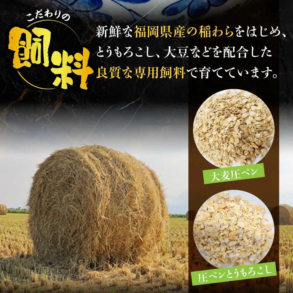 【全3回定期便】博多和牛 切り落とし 500g 【2月発送開始】 VET027 切り落とし
