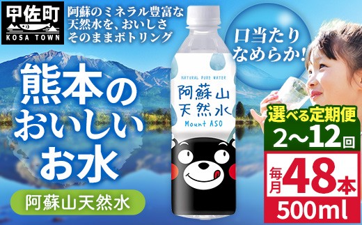 
                  【選べる定期便】熊本のおいしいお水 阿蘇山天然水 500ml×48本（2ケース）（共通返礼品・御船町）【2ヵ月／3ヶ月／6ヵ月／12ヵ月】 - 天然水 水 飲料水 ミネラルウォーター 箱買い まとめ買い ペットボトル 飲料 ウォーター 軟水 防災グッズ 防災 備蓄 ローリングストック ストック 熊本県
                
