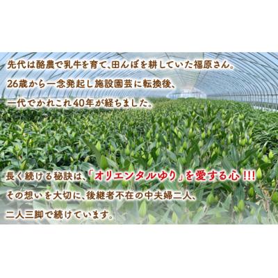 ふるさと納税 豊浦町 【先行受付】福原さん家のオリエンタルゆりの花束 10本(3〜5輪) TYUAB003 |  | 01