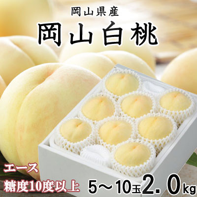 
            ＜先行受付＞岡山白桃 エース 5～10玉 2kg 岡山県産【1305711】
          