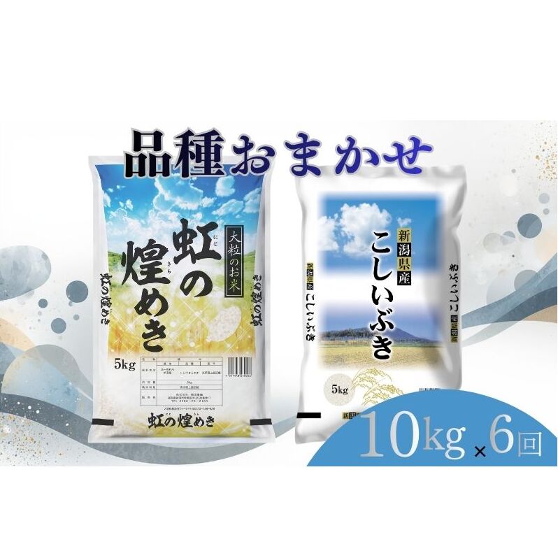 【ふるさと納税】【7月下旬より配送】 新潟県産 品種おまかせ 10kg 6か月定期便 新潟県 新潟市産 令和7年産 お米 精米 米 ご飯 送料無料　お届け：令和8年7月下旬から発送