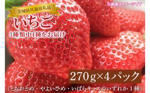 【先行予約】【1月中旬～3月中旬発送】【茨城県共通返礼品】いちご（とちおとめ・やよいひめ・いばらキッスのいずれか1種）270g×4パック（KCM-23）