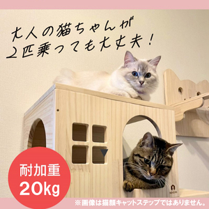 壁掛け 猫顔キャットステップ ２個 セット NEKOIRI 穴開け不要 取り付け簡単 取り外し 壁のキズが目立たない キャットステップ 壁 壁付け キャットウォーク ステップ キャットタワー インテリ