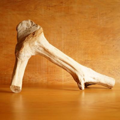 ふるさと納税 屋久島町 【屋久島の流木】中サイズ　タイプ1 |  | 02