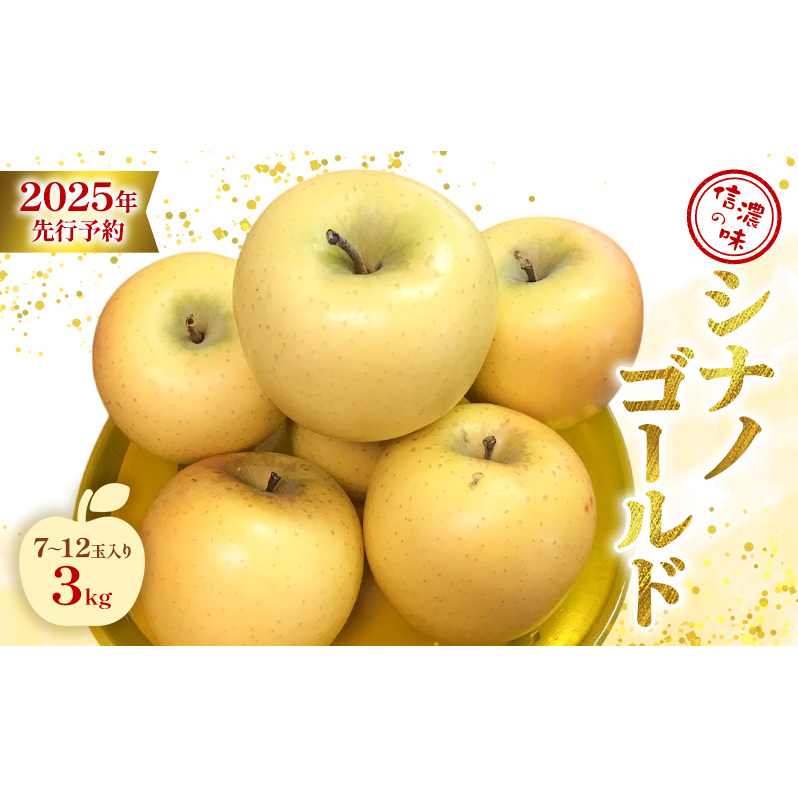2025年先行予約　[信濃の味]シナノゴールド3kg７玉～12玉入り