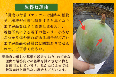 《2025年7月下旬～8月下旬発送》【先行予約】最高糖度23度！？ 完熟！7Lサイズ 幻のキーツマンゴー【 沖縄 石垣島 石垣 八重山 マンゴーキーツマンゴー 期間限定 数量限定 沖縄県 石垣島産 完
